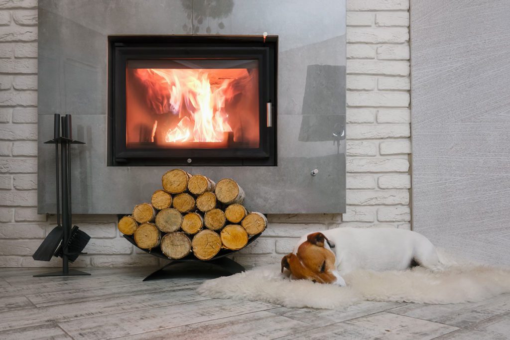 Dog-Sleeping-by-Fireplace